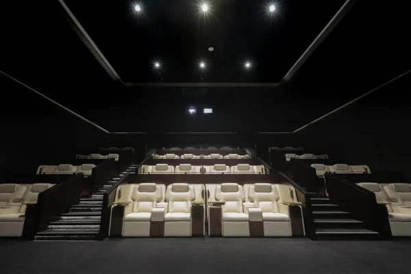 platinum-seatsretoc