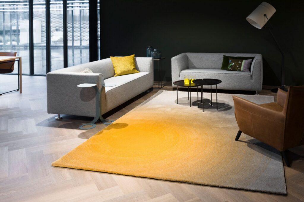 cameleon-ambient-4-1536x1024